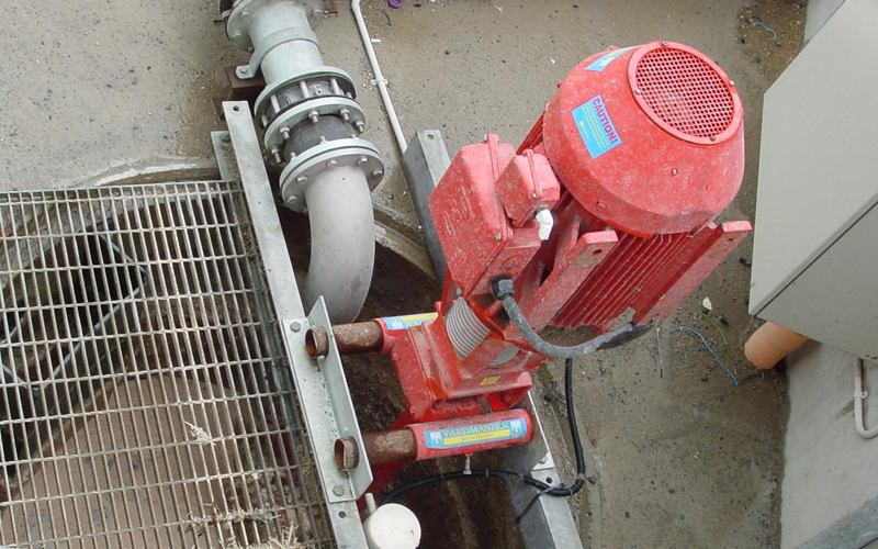 Yardmaster heavy duty solids pump installed in chicken processing facility